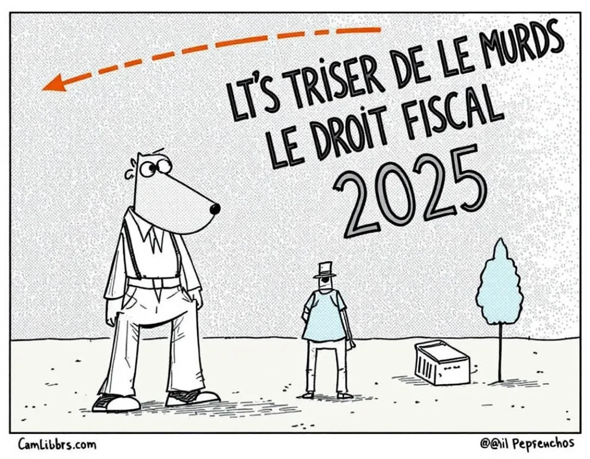Maîtriser le Droit Fiscal en 2025 : Conseils et Stratégies Infaillibles